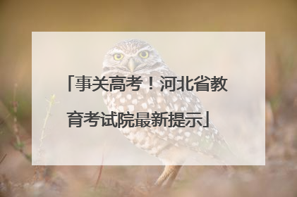 事关高考！河北省教育考试院最新提示