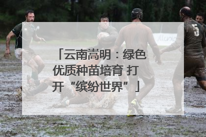 云南嵩明：绿色优质种苗培育 打开“缤纷世界”