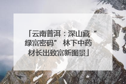 云南普洱：深山藏“绿富密码” 林下中药材长出致富新图景
