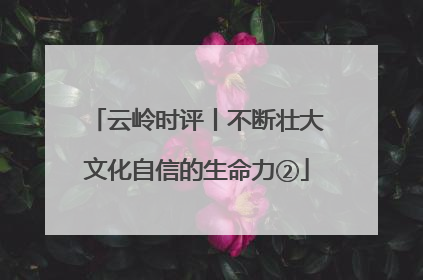 云岭时评丨不断壮大文化自信的生命力②