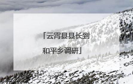 云霄县县长到和平乡调研