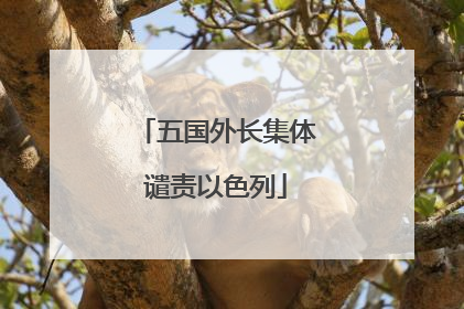 五国外长集体谴责以色列