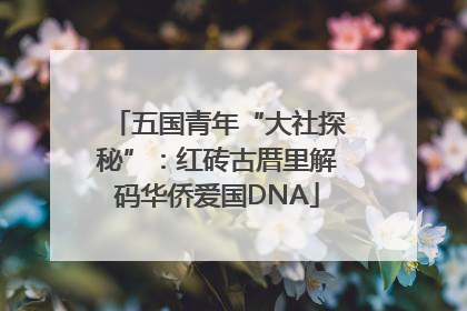 五国青年“大社探秘”：红砖古厝里解码华侨爱国DNA