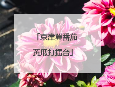 京津冀番茄黄瓜打擂台