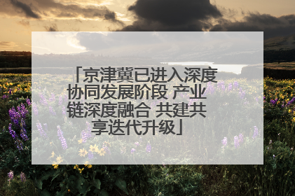 京津冀已进入深度协同发展阶段 产业链深度融合 共建共享迭代升级