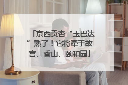 京西贡杏“玉巴达”熟了！它将牵手故宫、香山、颐和园