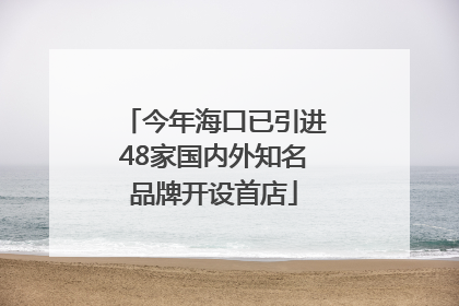 今年海口已引进48家国内外知名品牌开设首店