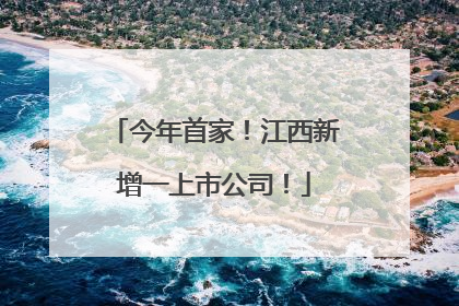 今年首家！江西新增一上市公司！