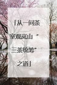 从一间茶室观岚山“三茶统筹”之道