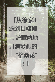 从徐家汇源到日喀则，沪藏两地开满梦想的“格桑花”！
