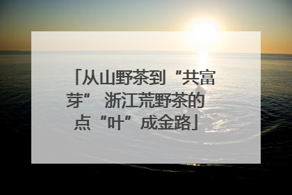 从山野茶到“共富芽” 浙江荒野茶的点“叶”成金路