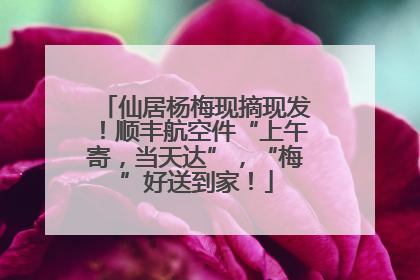 仙居杨梅现摘现发！顺丰航空件“上午寄，当天达”，“梅”好送到家！