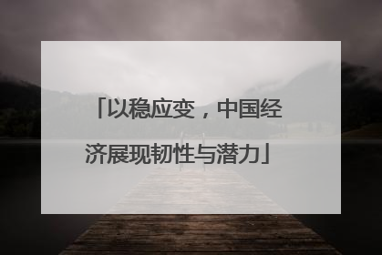 以稳应变，中国经济展现韧性与潜力