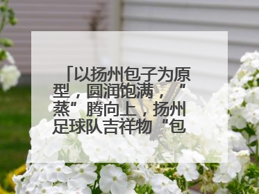 以扬州包子为原型，圆润饱满，“蒸”腾向上，扬州足球队吉祥物“包赢”亮相即售罄