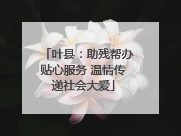 叶县：助残帮办贴心服务 温情传递社会大爱