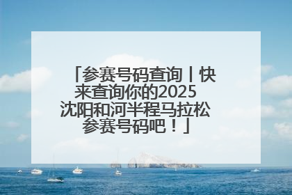 参赛号码查询丨快来查询你的2025沈阳和河半程马拉松参赛号码吧！