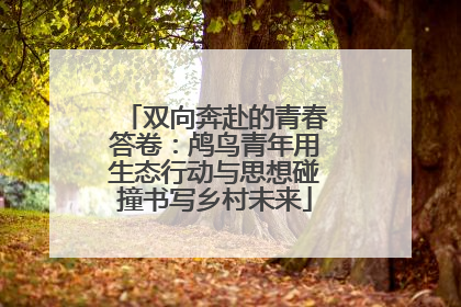 双向奔赴的青春答卷：鸬鸟青年用生态行动与思想碰撞书写乡村未来