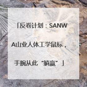 反卷计划：SANWA山业人体工学鼠标，手腕从此“躺赢”