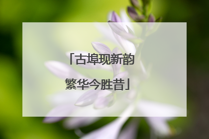 古埠现新韵 繁华今胜昔