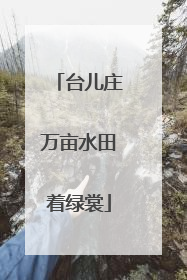台儿庄万亩水田着绿裳
