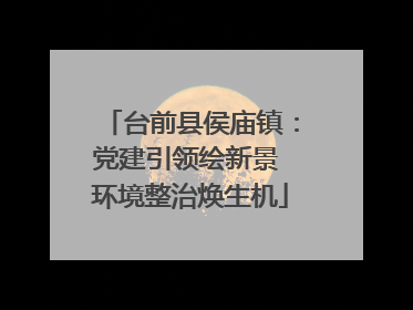 台前县侯庙镇：党建引领绘新景 环境整治焕生机