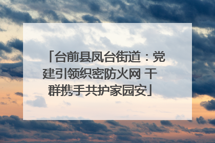台前县凤台街道：党建引领织密防火网 干群携手共护家园安