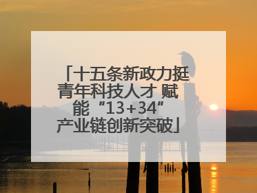 十五条新政力挺青年科技人才 赋能“13+34”产业链创新突破