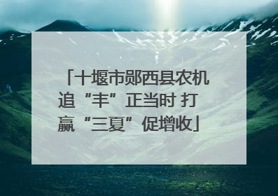 十堰市郧西县农机追“丰”正当时 打赢“三夏”促增收