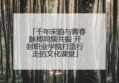 千年宋韵与青春脉搏同频共振 开封职业学院打造行走的文化课堂