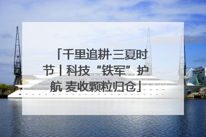 千里追耕·三夏时节丨科技“铁军”护航 麦收颗粒归仓
