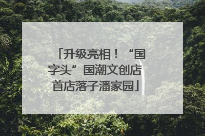 升级亮相！“国字头”国潮文创店首店落子潘家园