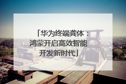 华为终端龚体：鸿蒙开启高效智能开发新时代