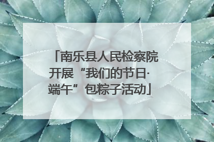 南乐县人民检察院开展“我们的节日·端午”包粽子活动