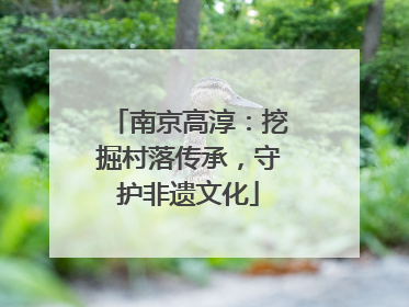 南京高淳：挖掘村落传承，守护非遗文化