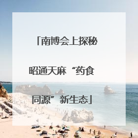 南博会上探秘昭通天麻“药食同源”新生态