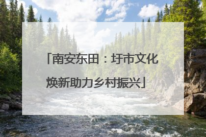 南安东田：圩市文化焕新助力乡村振兴