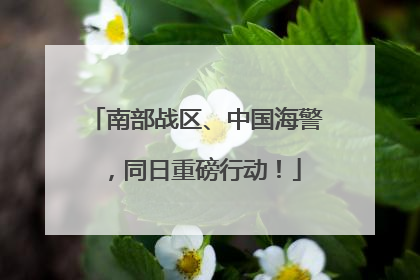 南部战区、中国海警，同日重磅行动！