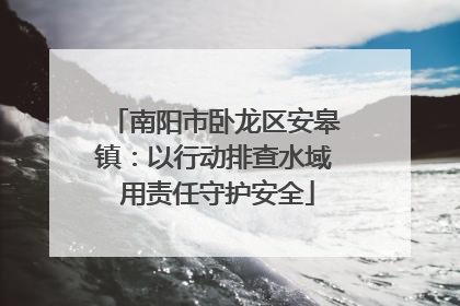 南阳市卧龙区安皋镇：以行动排查水域 用责任守护安全