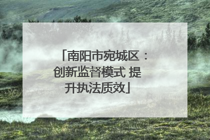 南阳市宛城区：创新监督模式 提升执法质效