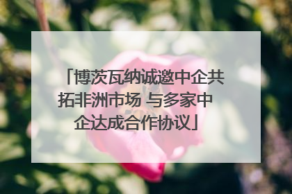 博茨瓦纳诚邀中企共拓非洲市场 与多家中企达成合作协议