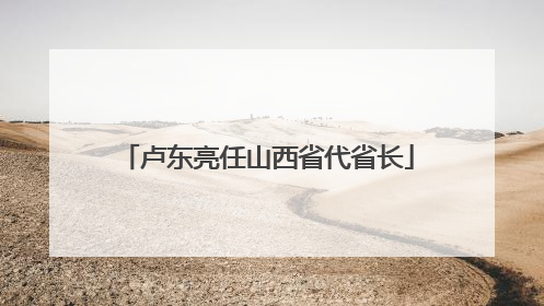 卢东亮任山西省代省长