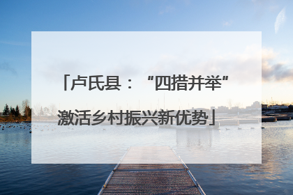卢氏县：“四措并举”激活乡村振兴新优势