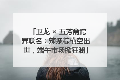 卫龙 × 五芳斋跨界联名：辣条粽横空出世，端午市场掀狂澜