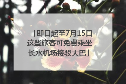 即日起至7月15日 这些旅客可免费乘坐长水机场接驳大巴