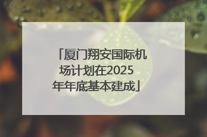 厦门翔安国际机场计划在2025年年底基本建成