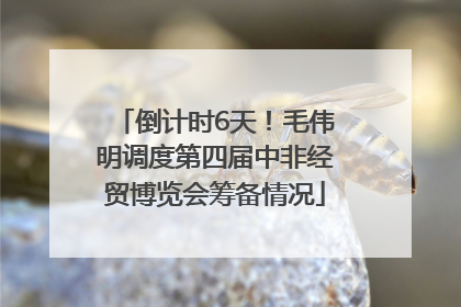 倒计时6天！毛伟明调度第四届中非经贸博览会筹备情况