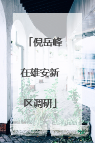 倪岳峰在雄安新区调研