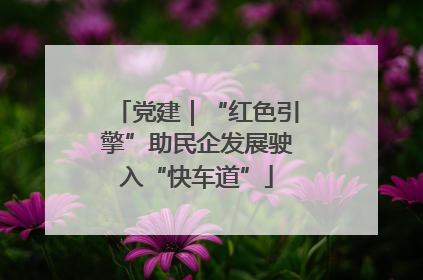 党建｜“红色引擎”助民企发展驶入“快车道”