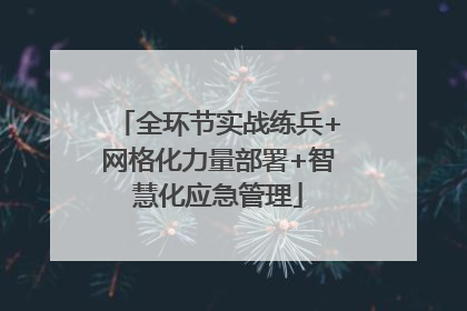 全环节实战练兵+网格化力量部署+智慧化应急管理