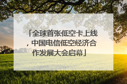全球首张低空卡上线，中国电信低空经济合作发展大会启幕